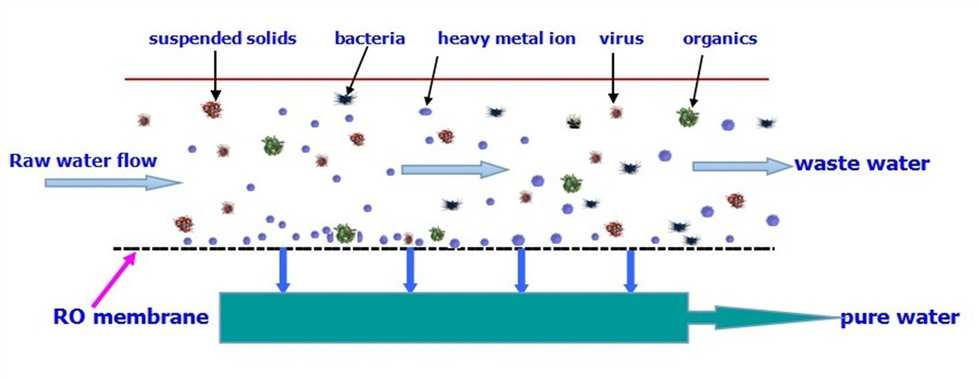 Исходная вода это. Мембранная фильтрация схема. Ультрафильтрация мембранная схема. Обратный осмос принцип действия схема.